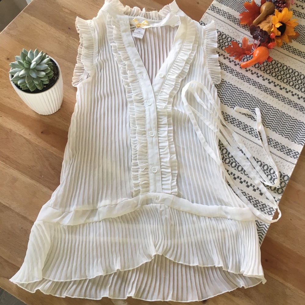White Sheer Chiffon Button Up Blouse Top